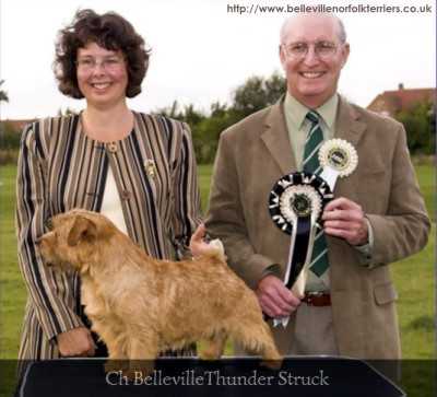 Belleville Thunder Struck