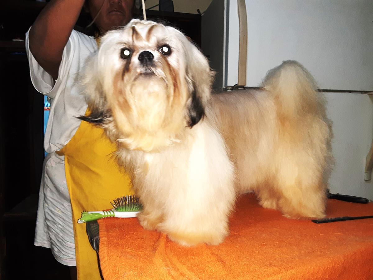 Goku de la Cueva