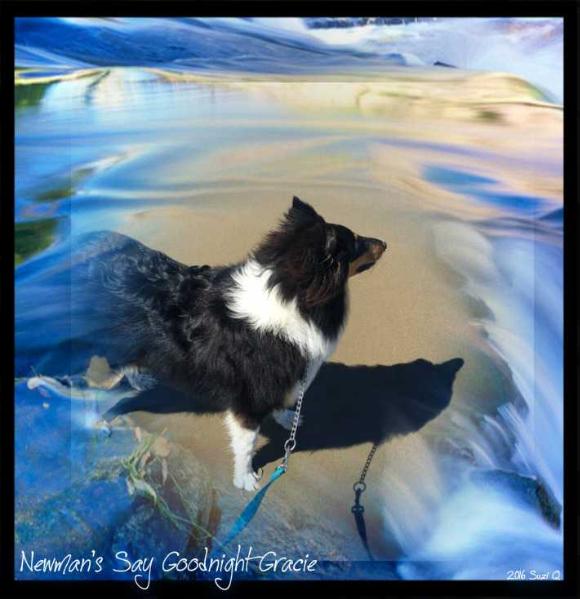Newman's Say Goodnight Gracie