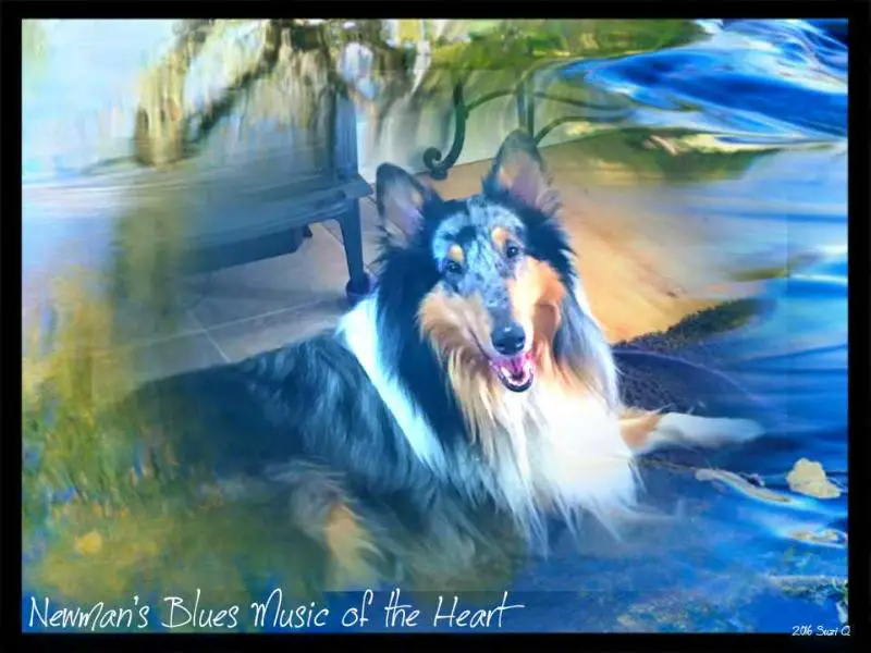 Newman's Blues Music of the Heart