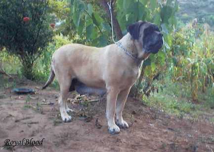 KIARA JR (TAPIA)