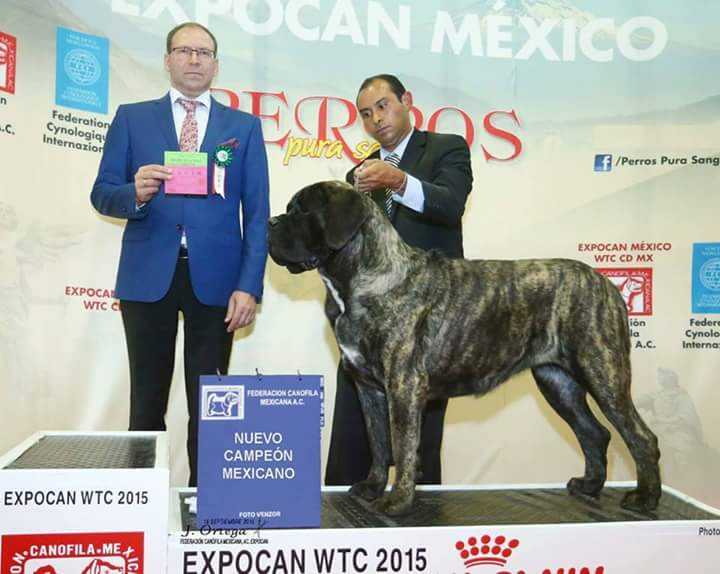 RB LUCERO (FLORES/SANTIAGO)