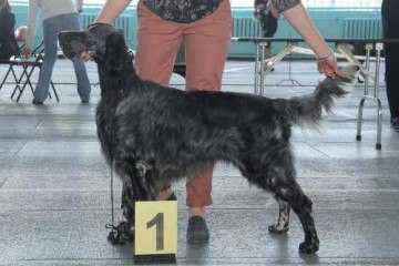 AQUILES DE LOS VITORONES