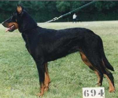 Zouny de Montecla