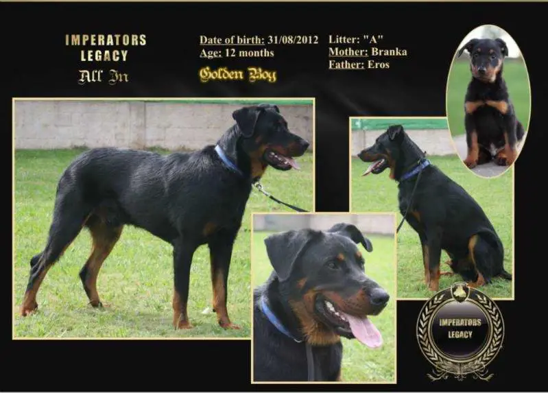 Imperator´s Legacy All In