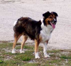 Egertsen's Sasha Marie