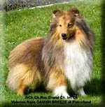 Valerina Ross DANISH BREEZE
