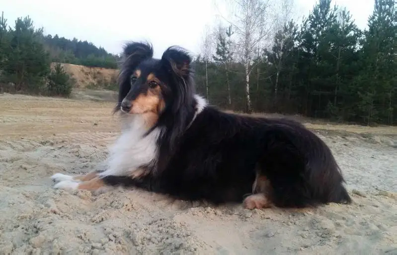 IXI z Puli Szczęścia