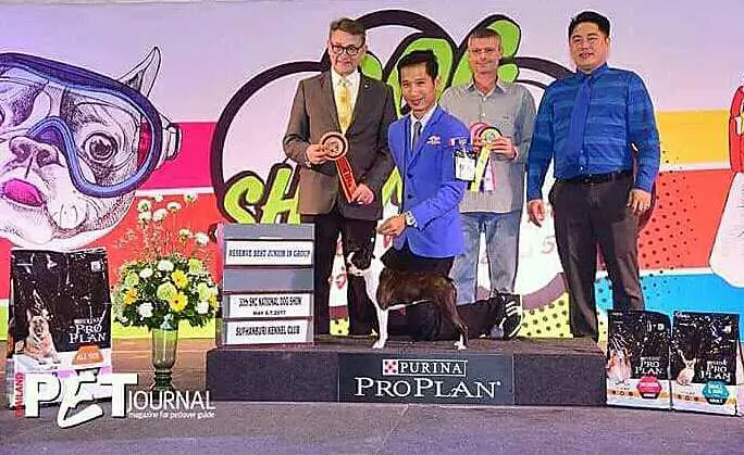 Southern kennels Dream come true