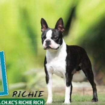 KC's Ritchie Rich