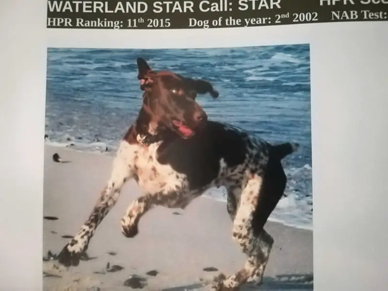 WATERLAND STAR OF THORNCREEK NA