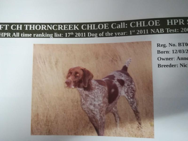 THORNCREEK CHLOE NA