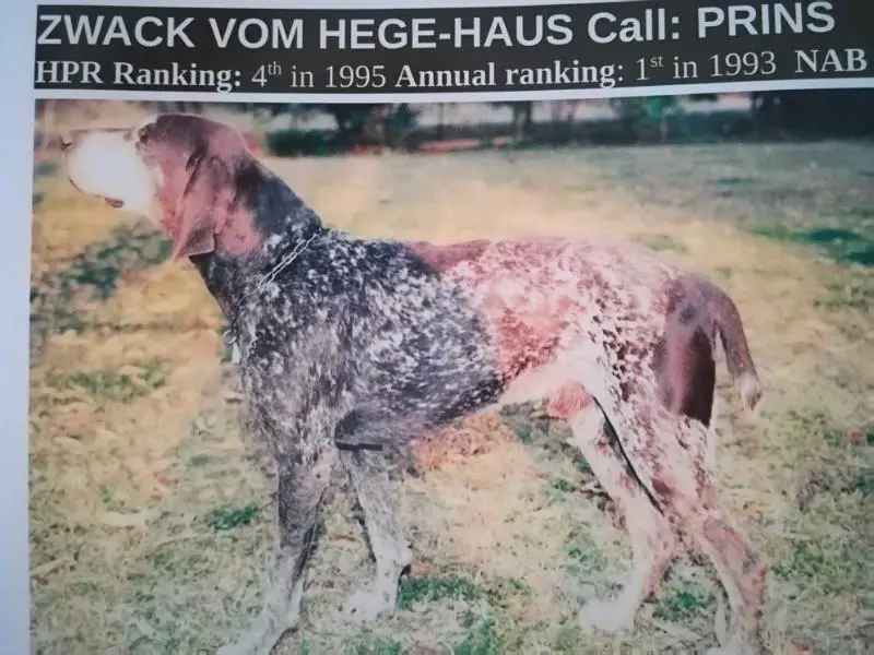 ZWACK VOM HEGE-HAUS