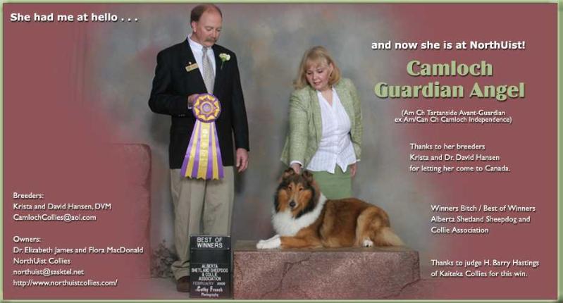 Camloch Guardian Angel