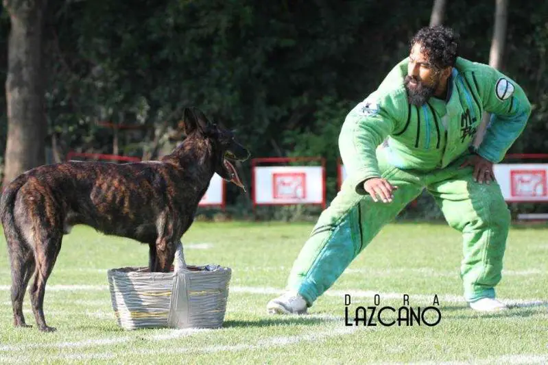 Irko ( Melo ) Mex.