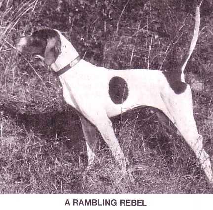 A RAMBLING REBEL