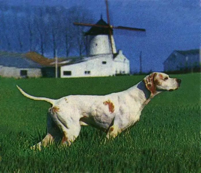 BOSS DEL GUERCIO