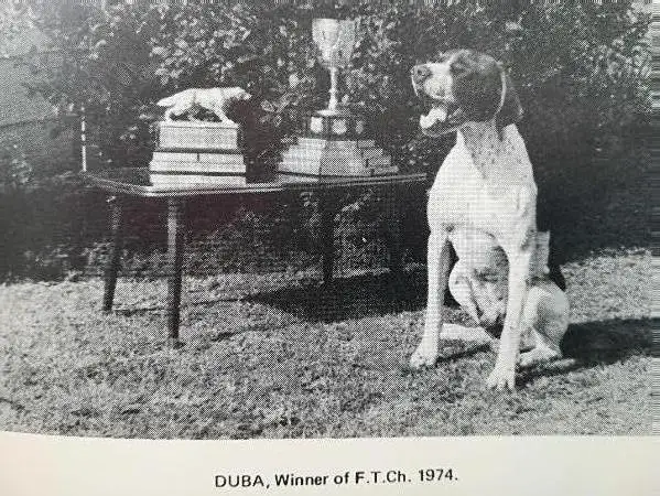 DUBA SAFTC 626
