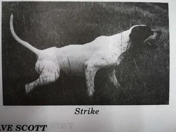 WINTERBERG STRIKE