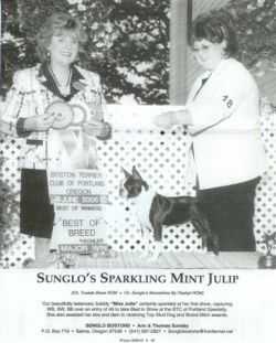 sunglos sparkling mint julip