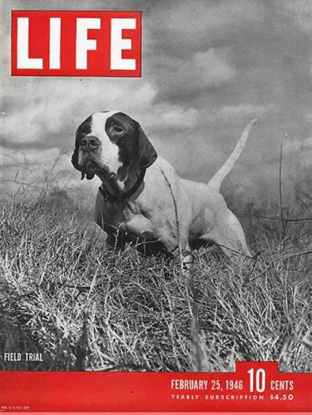 TARHEELIA'S LUCKYSTRIKE