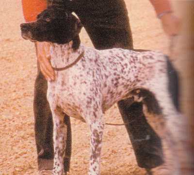 ONYX DE LA LEMBAZ