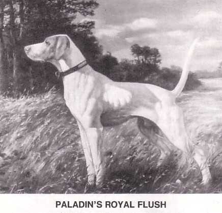 PALADIN'S ROYAL FLUSH
