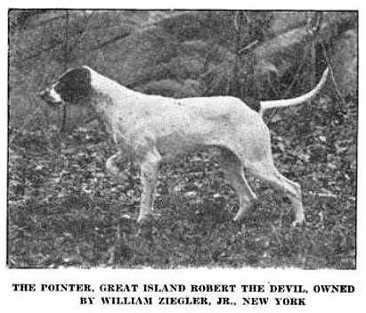 GREAT ISLAND ROBERT THE DEVIL
