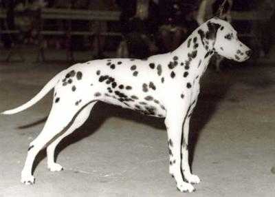Olbero Onceuponatime