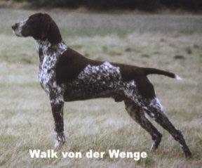 Walk von der Wenge