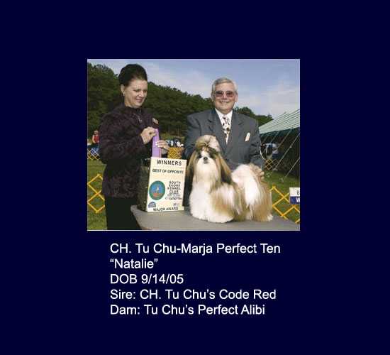 Tu Chu-Marja Perfect Ten