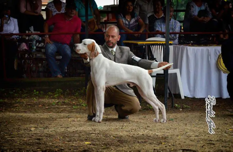 MONILU'S JUAN VALDEZ AI