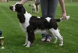 Spring Chelz Freckles Cute At Bredbery