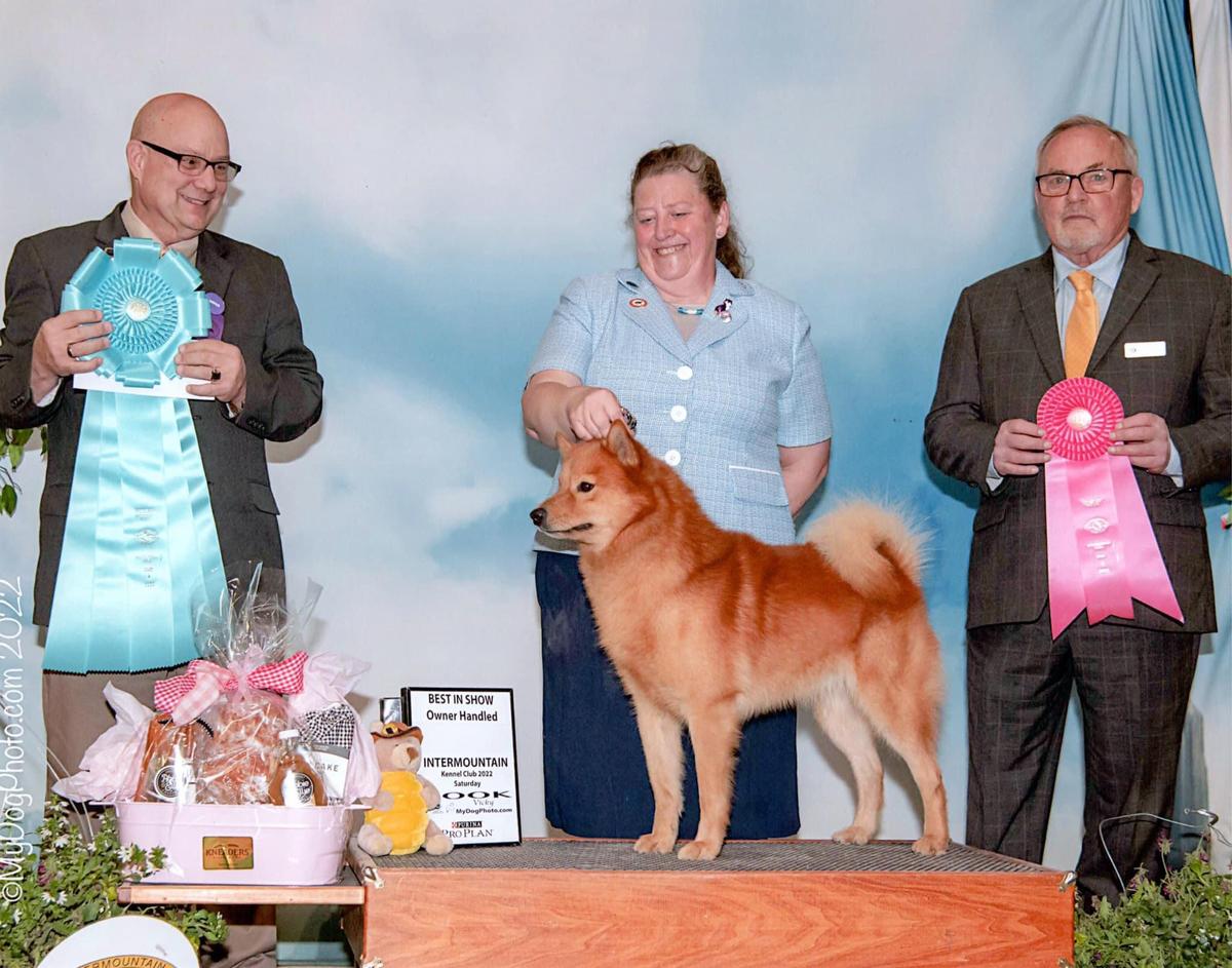 Ajuaq's Windz Will Rockz U