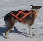 Sepp-Lok’s Yukon