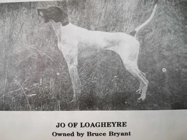 JO OF LOAGHEYRE