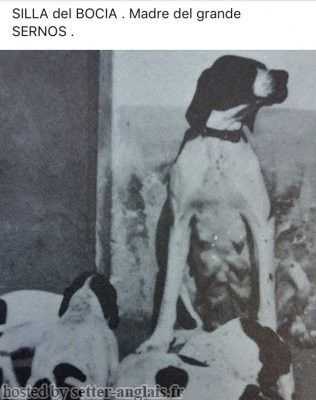 SILLA DEL BOCIA