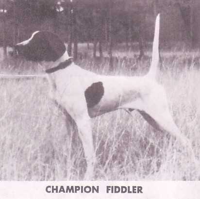 FIDDLER