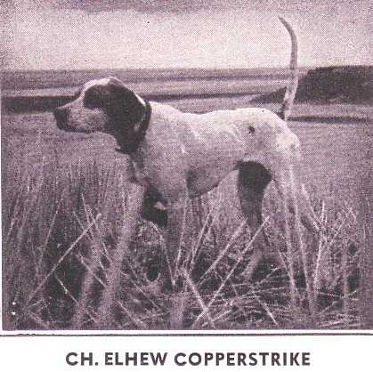 ELHEW COPPERSTRIKE
