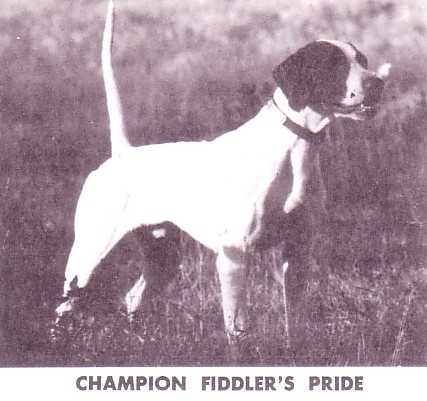 FIDDLER'S PRIDE