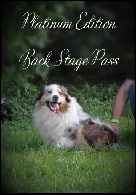 Platinum Edition Back Stage Pass