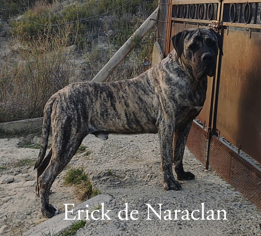 Erick de Naraclan