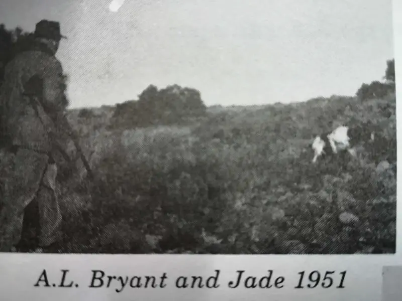 JADE OF BRYANSTON