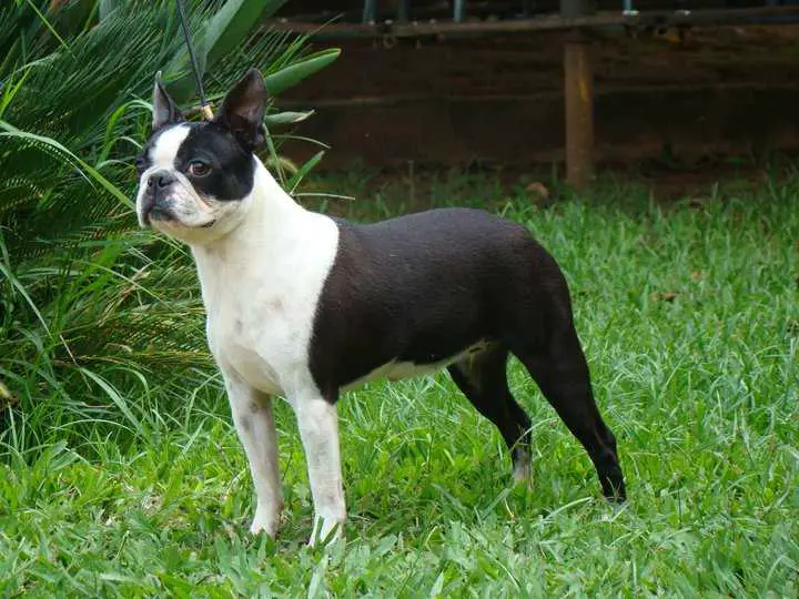 CARAMURU SADIE J PASSARELLI