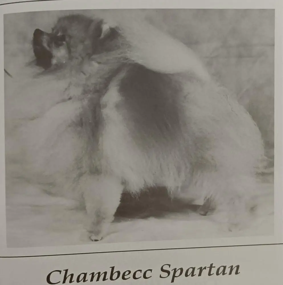 Chambec Spartan
