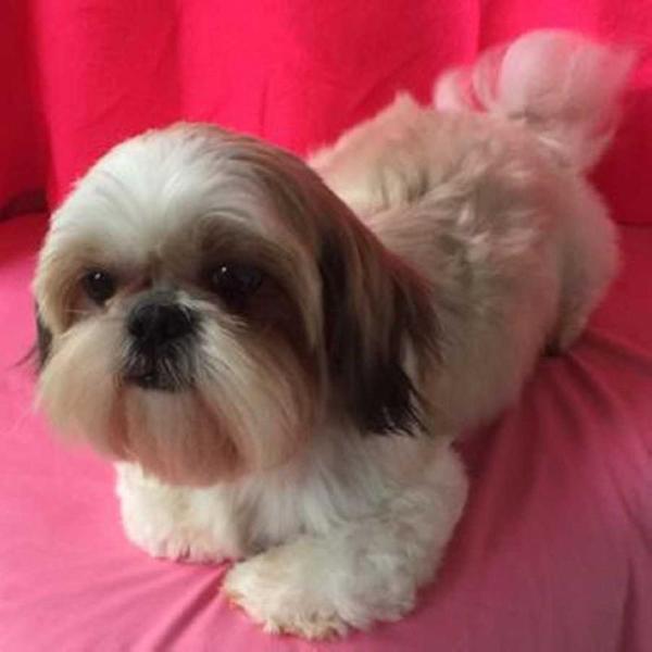 Princess Dolly Maden Mea