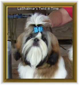 Lashalimar Twist In Time