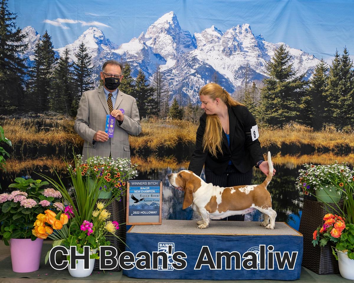 Bean's Amaliw