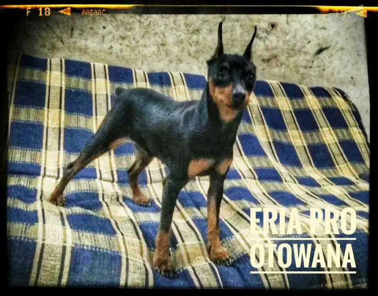 Eria Pro Otowana