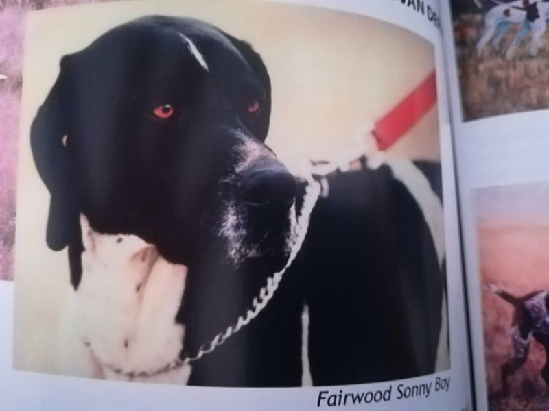 FAIRWOOD SONNY BOY